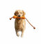 All For Paws Wow Play Brinquedo Stick flutuante para c&atilde;es, , large Indicador imagem n&uacute;mero 3