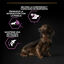 Pro Plan Adult Small & Mini OptiAge Frango ração para cães, , large Indicador imagem número 4