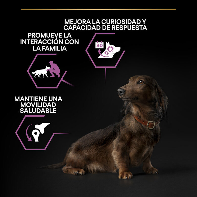 3 kg Pro Plan Adult Small & Mini OptiAge Frango ração para cães,  Imagem número 4 3 kg Pro Plan Adult Small & Mini OptiAge Frango ração para cães, , large Imagem número 4