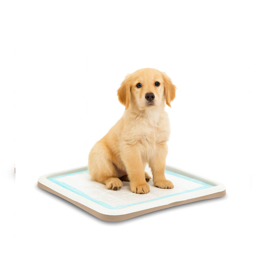 Nice Care Tabuleiro higi&eacute;nico Gastone Azul para c&atilde;es, , large Imagem n&uacute;mero 1