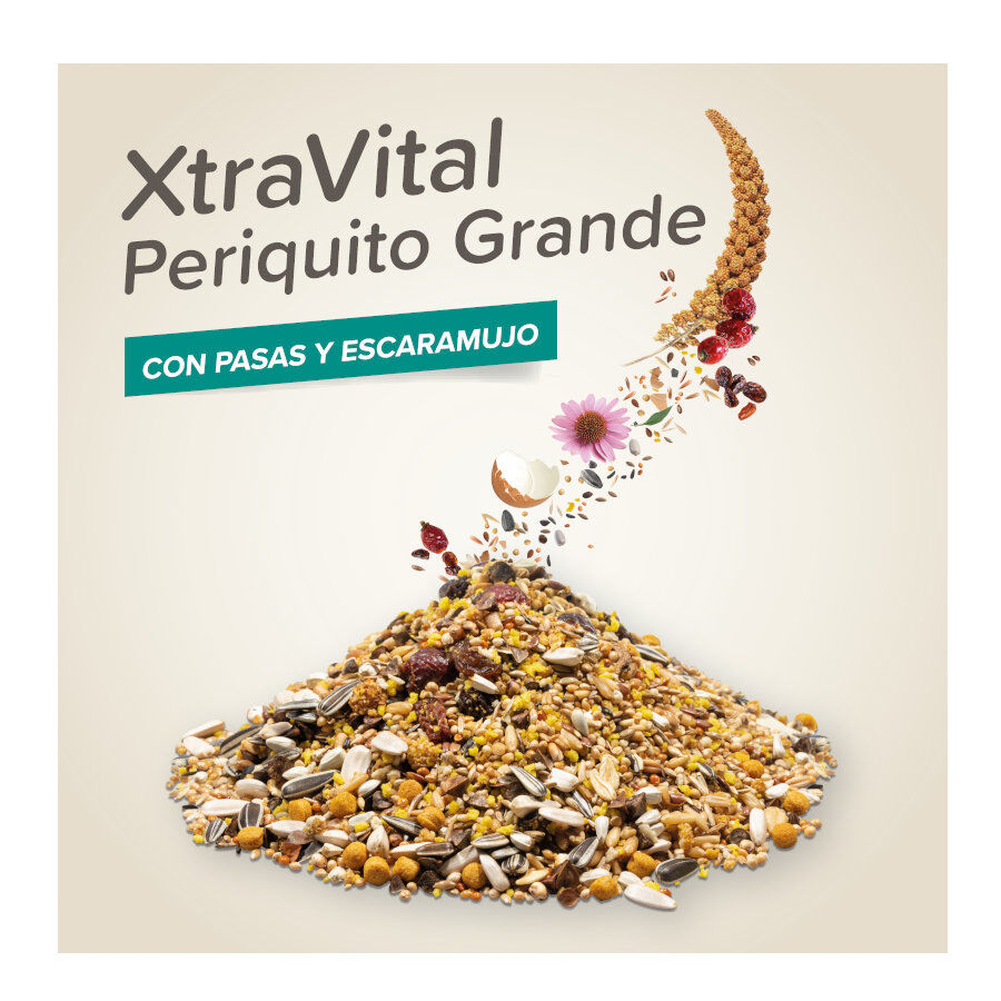 Beaphar XtraVital Mistura para cacatuas, , large Imagem n&uacute;mero 2