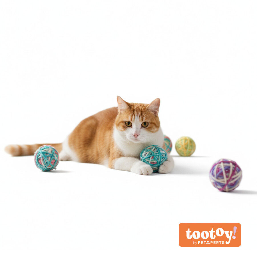 Tootoy! Kitten Kit de bolas de l&atilde; com guizo para gatinhos, , large Imagem n&uacute;mero 9