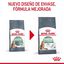 10 kg Royal Canin Adult Digestive ração para gatos, , large Indicador imagem número 8