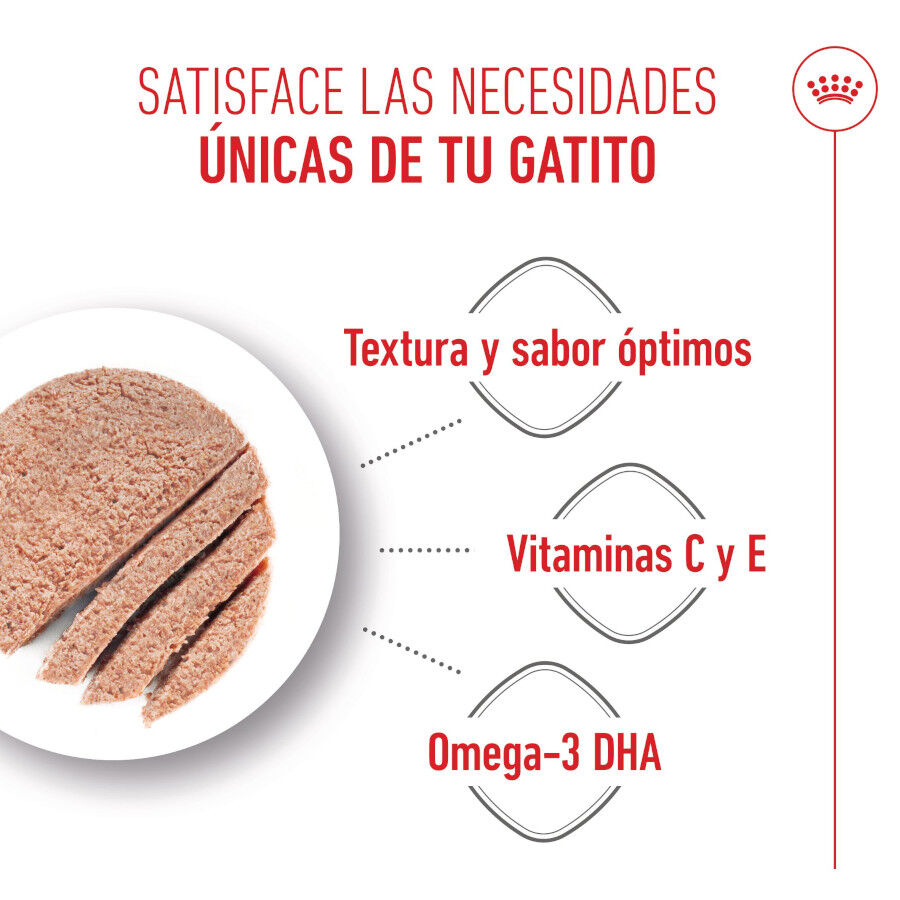 85 g Royal Canin Kitten pat&ecirc; em saquetas para gatos, , large Imagem n&uacute;mero 4