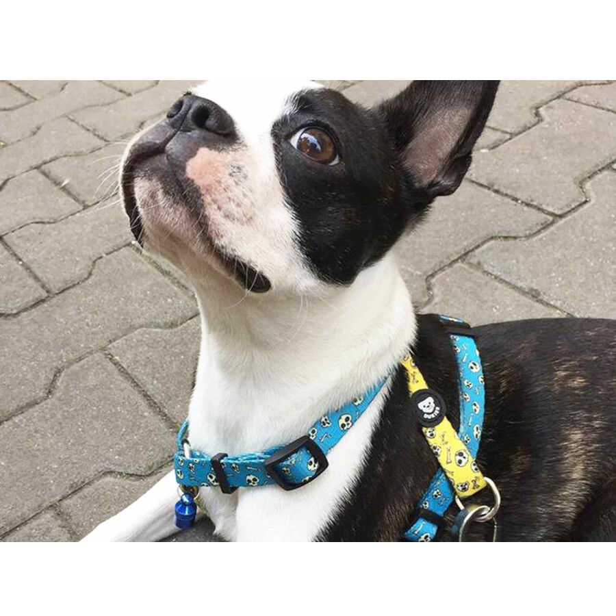 Dukier Skulls Peitoral cl&aacute;ssico com estampado de caveiras para c&atilde;es, , large Imagem n&uacute;mero 2