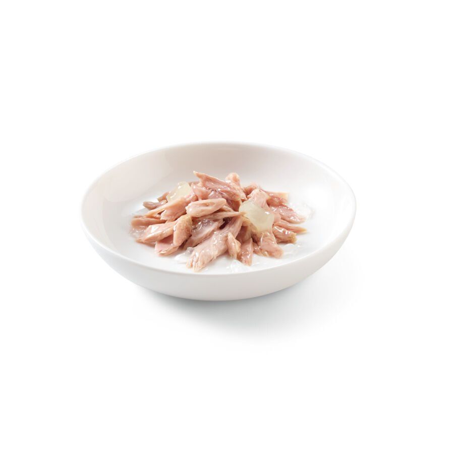 85 g Schesir Kitten Atum com Alo&eacute; lata para gatos, , large Imagem n&uacute;mero 2