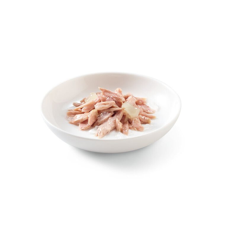 85 g Schesir Kitten Atum com Aloé lata para gatos,  Imagem número 2 85 g Schesir Kitten Atum com Aloé lata para gatos, , large Imagem número 2