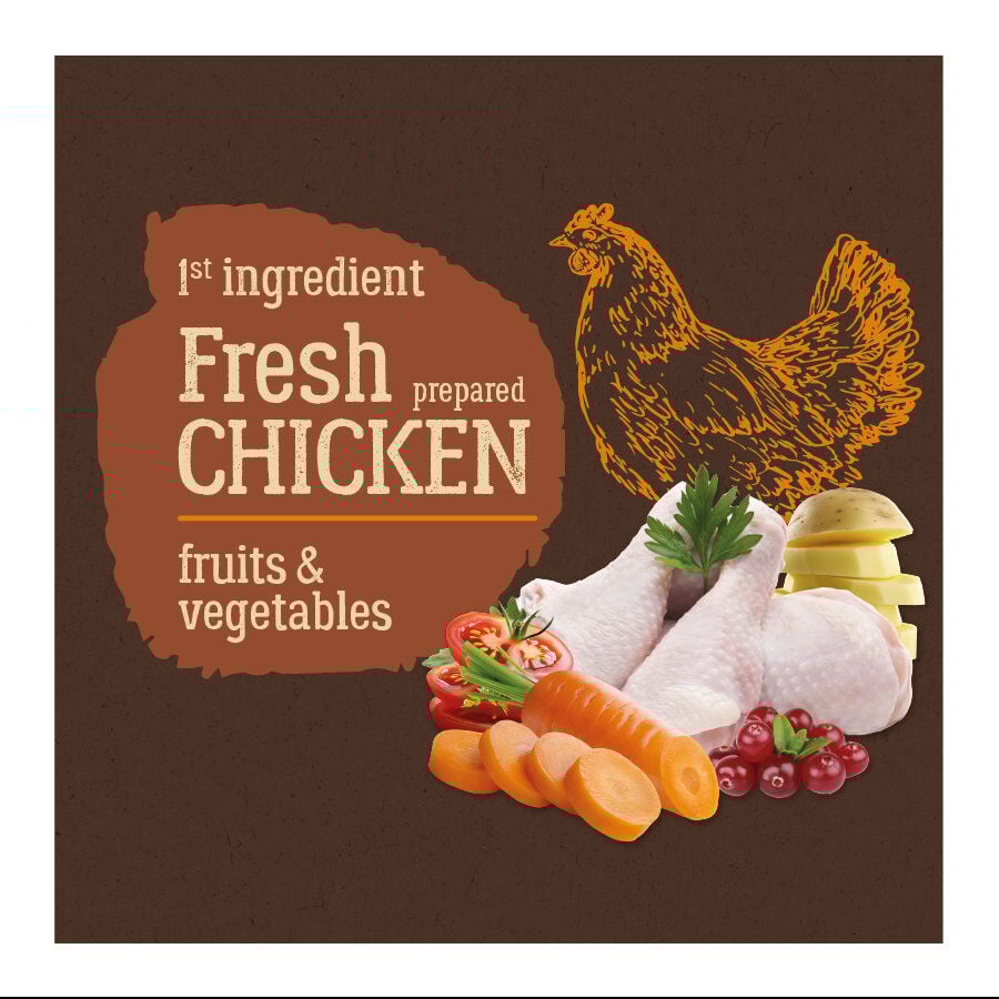 12 kg True Origins Adult Pure Frango No Grain ra&ccedil;&atilde;o para c&atilde;es, , large Imagem n&uacute;mero 3