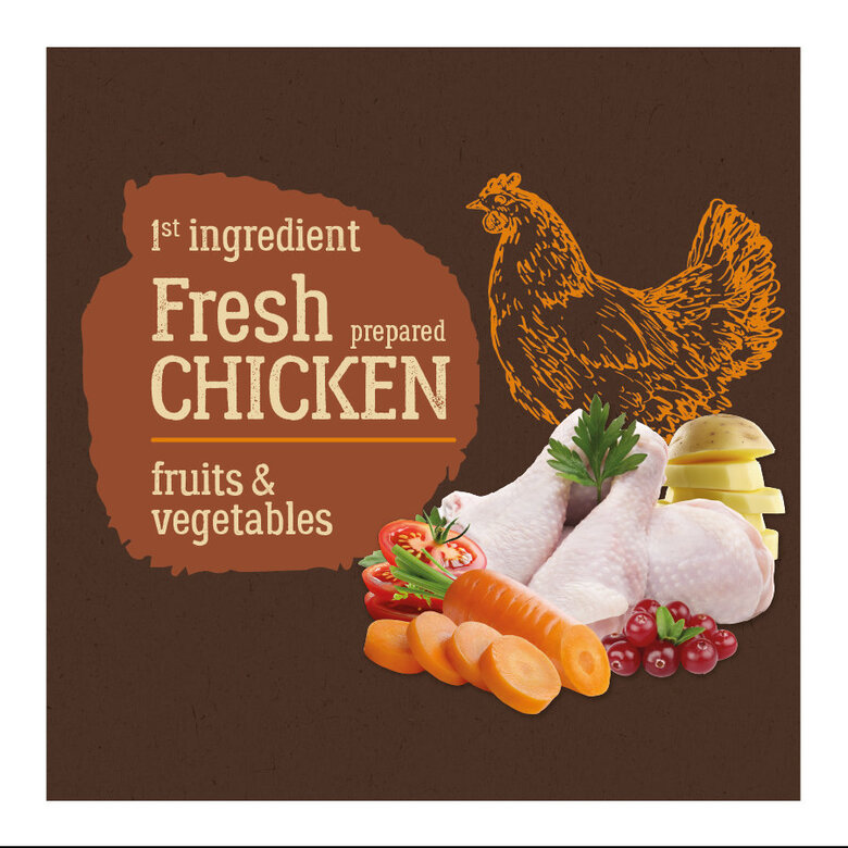 12 kg True Origins Adult Pure Frango No Grain ração para cães,  Imagem número 3 12 kg True Origins Adult Pure Frango No Grain ração para cães, , large Imagem número 3