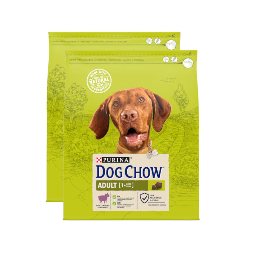 2 x 14 kg Dog Chow Adult borrego ra&ccedil;&atilde;o para c&atilde;es Pack poupan&ccedil;a!, , large Imagem n&uacute;mero 1