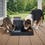 Leeby Comedouro Autom&aacute;tico e Dispensador de &Aacute;gua 2 em 1 para c&atilde;es e gatos, , large Indicador imagem n&uacute;mero 1