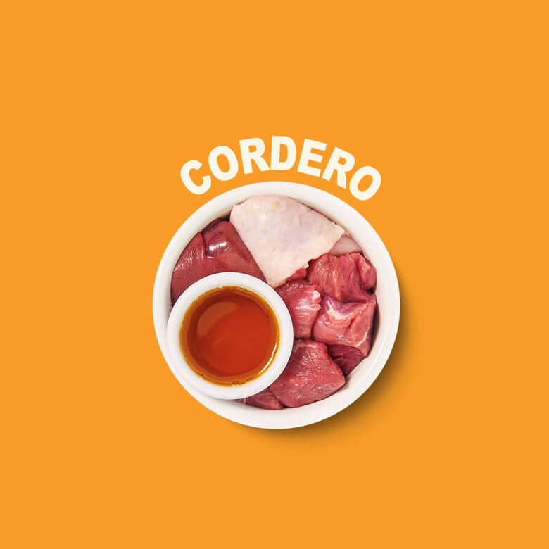 8 terrinas x 85 g Lily's Kitchen Feline Smooth Selection patê terrinas - Multipack,  Imagem número 5 8 terrinas x 85 g Lily's Kitchen Feline Smooth Selection patê terrinas - Multipack, , large Imagem número 5