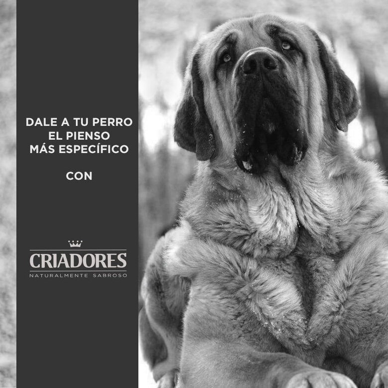 Criadores Adulto Light ração para cães raças médias e grandes, , large image number null