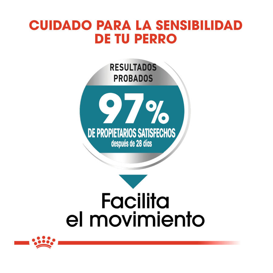 10 kg Royal Canin Joint Care Maxi ra&ccedil;&atilde;o para c&atilde;es, , large Imagem n&uacute;mero 7