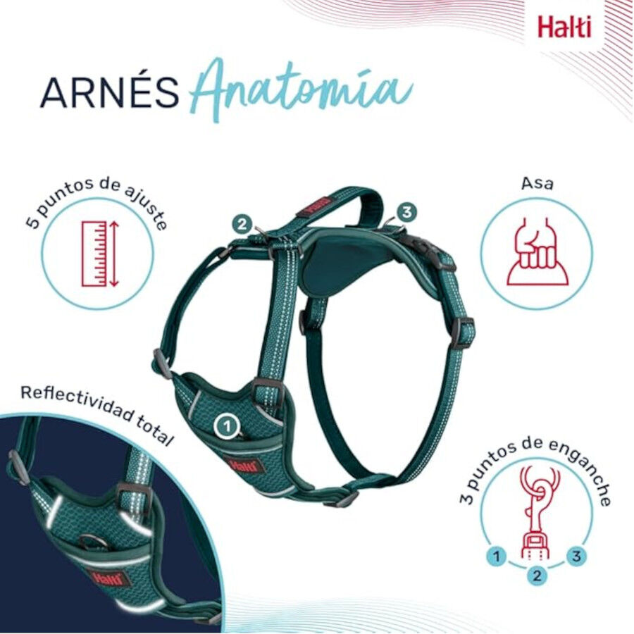 Halti Peitoral Anat&oacute;mico azul-esverdeado para c&atilde;es pequenos, , large Imagem n&uacute;mero 3