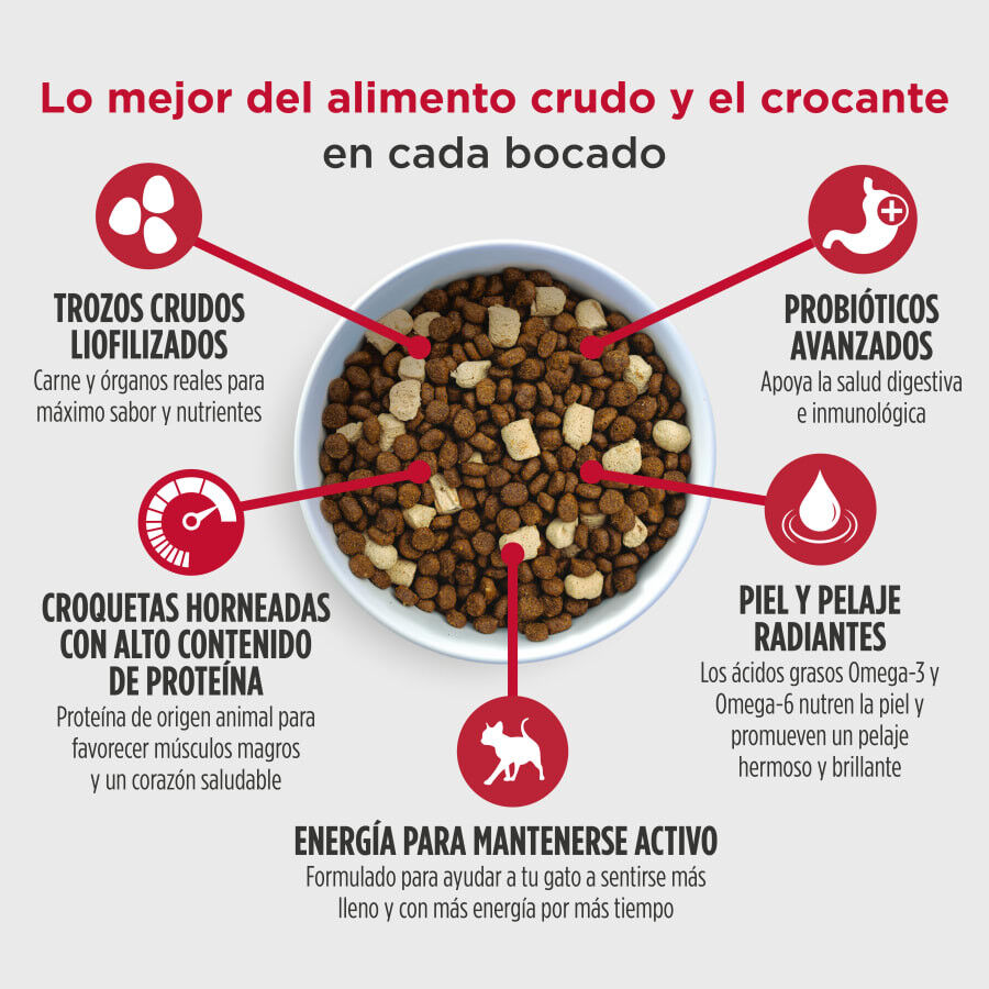 2 kg Nulo Raw Medley Ra&ccedil;&atilde;o Salm&atilde;o, Frango e Peru para gatos, , large Imagem n&uacute;mero 2