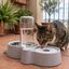 Leeby Comedouro e Dispensador de &Aacute;gua 2 em 1 em A&ccedil;o Inoxid&aacute;vel Cinzento para gatos, , large Indicador imagem n&uacute;mero 1