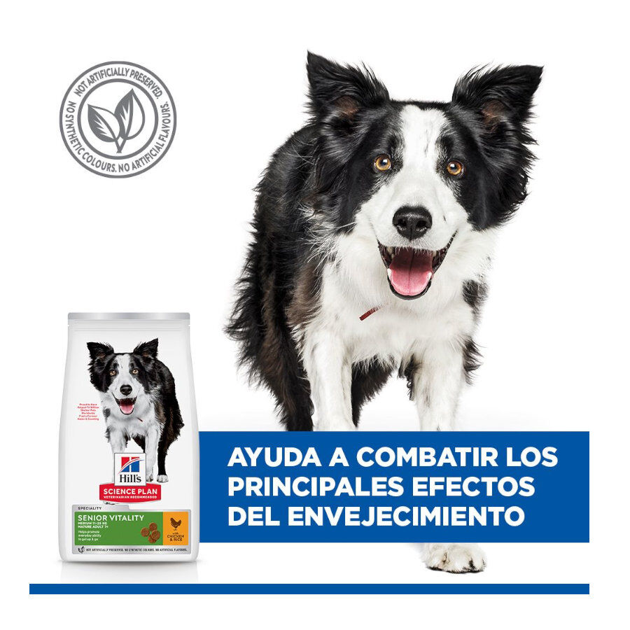 Hill's Medium Adult Science Plan Youthful Vitality Frango ra&ccedil;&atilde;o para c&atilde;es, , large Imagem n&uacute;mero 6