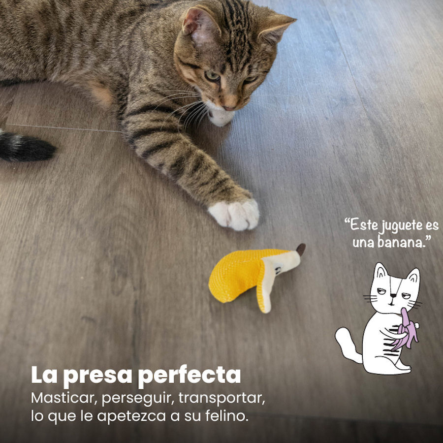 Catstages Dental Peluche Banana para gatos, , large Imagem n&uacute;mero 6