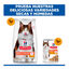 3 kg Hill's Adult Science Plan Perfect Digestion Frango ra&ccedil;&atilde;o para gatos, , large Indicador imagem n&uacute;mero 8