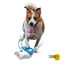Summer Vibes Pedal aquático interativo para cães, , large Indicador imagem número 2