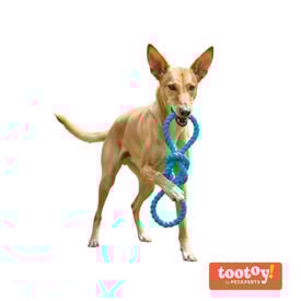 Tootoy! Pull N&oacute; de borracha de brinquedo para c&atilde;es