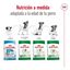3.5 kg Royal Canin Mini 12+ Ageing ração para cães, , large Indicador imagem número 11