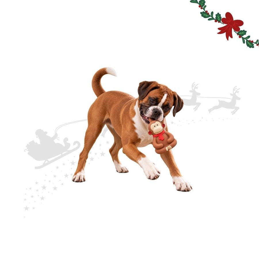 Wonder Christmas Macaco L&aacute;tex Brinquedo para c&atilde;es, , large Imagem n&uacute;mero 1