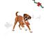 Wonder Christmas Macaco L&aacute;tex Brinquedo para c&atilde;es, , large Indicador imagem n&uacute;mero 1