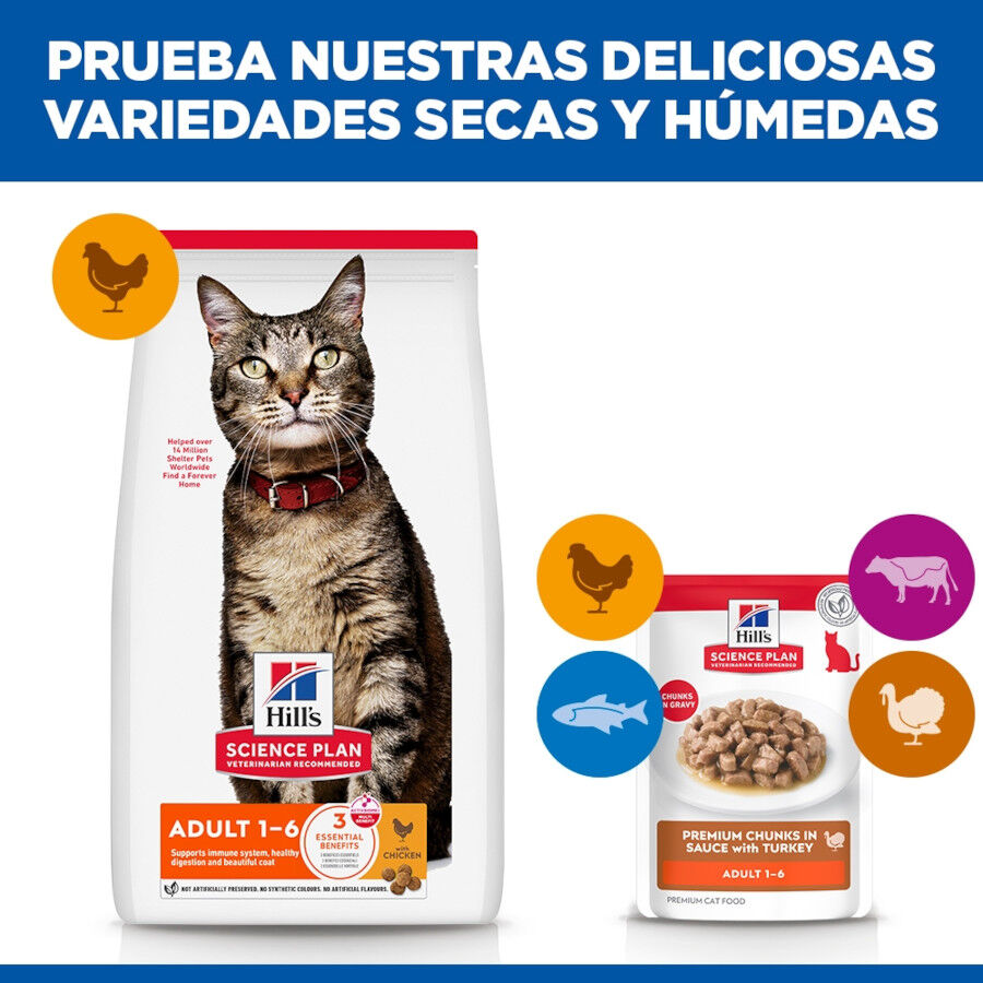 85 g Hill's Adult Science Plan Peru saqueta para gatos, , large Imagem n&uacute;mero 6