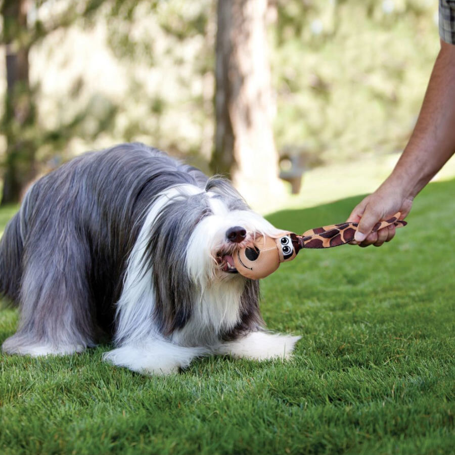Kong Wubba Floppy Ear brinquedo para&nbsp;c&atilde;es, , large Imagem n&uacute;mero 2