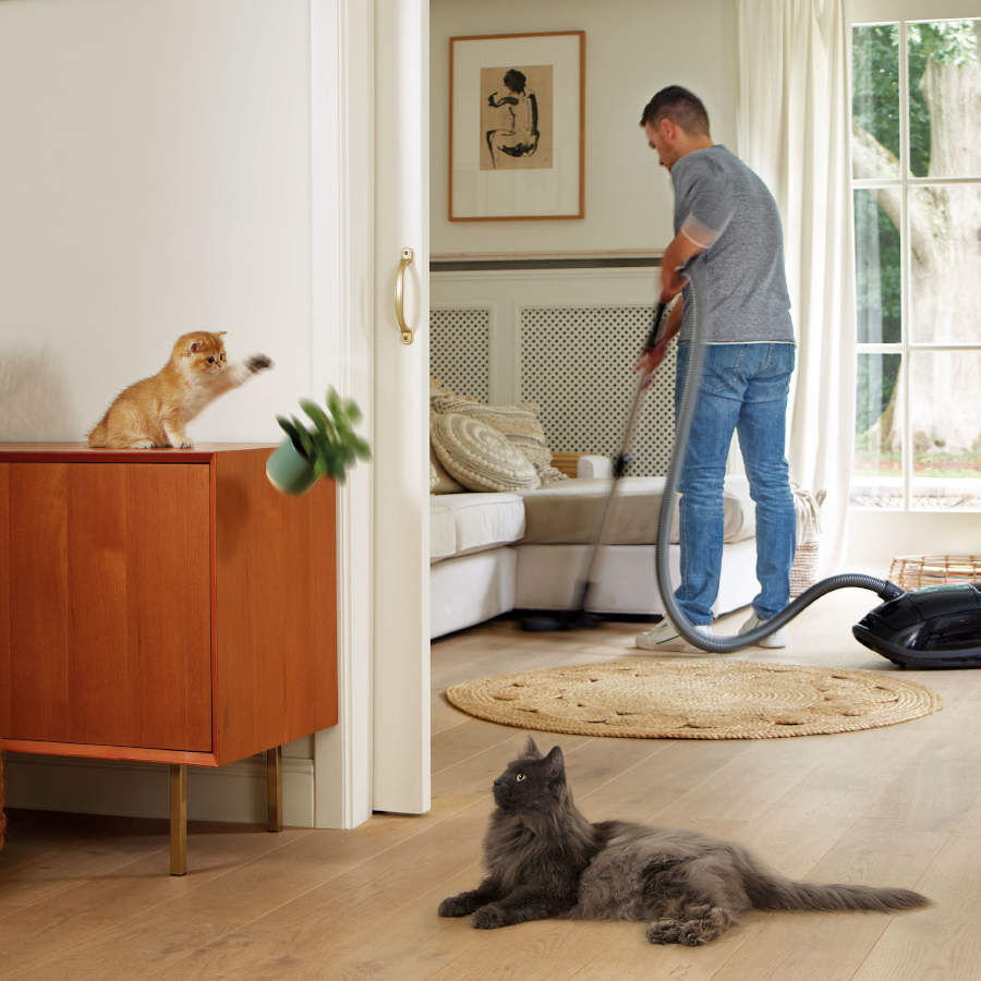 Beaphar Catcomfort Coleira de Feromonas para gatos, , large Imagem n&uacute;mero 3