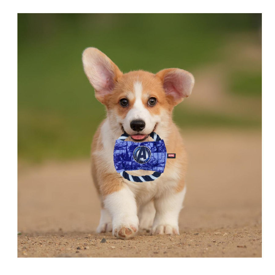 Marvel brinquedo disco com corda para c&atilde;es, , large Imagem n&uacute;mero 4