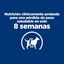 10 kg Hill's Prescription Diet Weight Loss r/d Frango ração para cães, , large Indicador imagem número 4