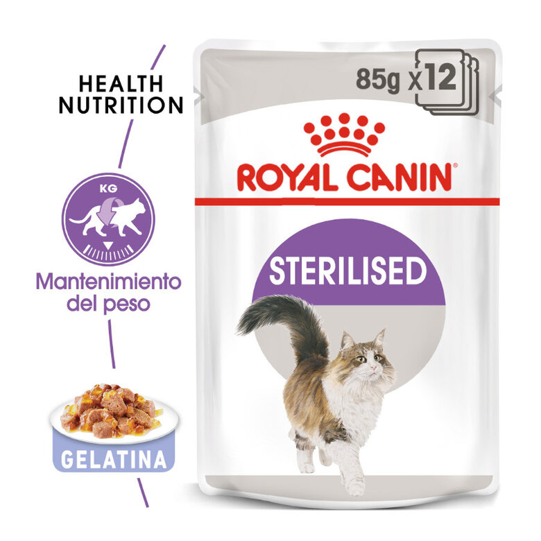 85 g Royal Canin Sterilised Saquetas em gelatina para gatos,  Imagem número 1 85 g Royal Canin Sterilised Saquetas em gelatina para gatos, , large Imagem número 1