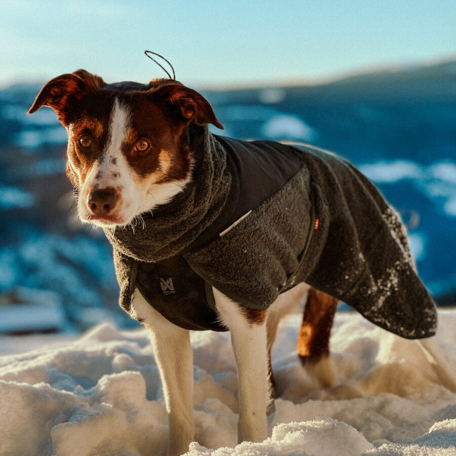 Non-stop Dogwear Casaco de L&atilde; Azul e Verde-Escuro para c&atilde;es, , large Imagem n&uacute;mero 4