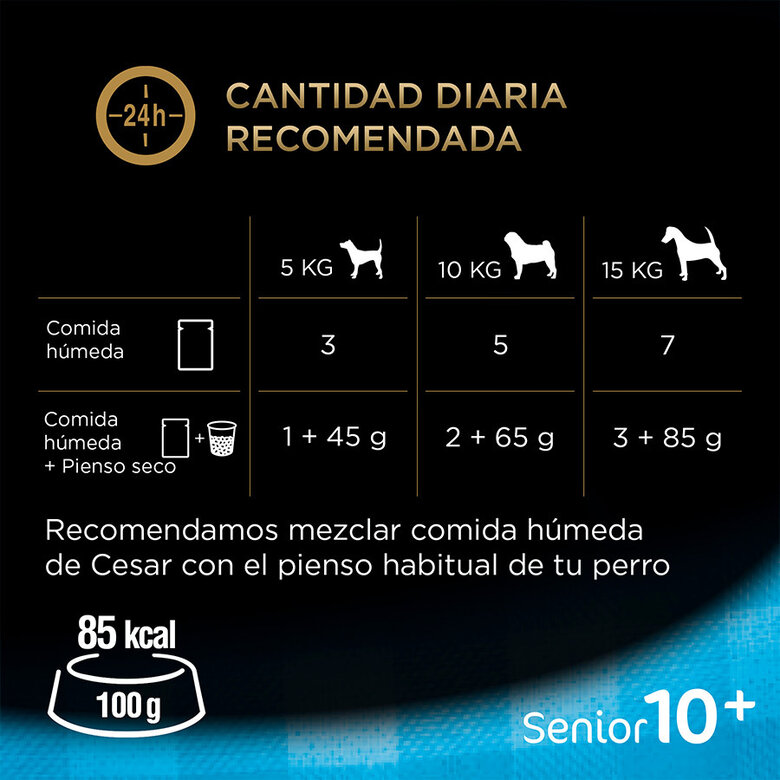 pienso_humedo_perros_cesar_pouche_senior_06_CES306102.jpg Imagem número 5 pienso_humedo_perros_cesar_pouche_senior_06_CES306102.jpg Imagem número 5