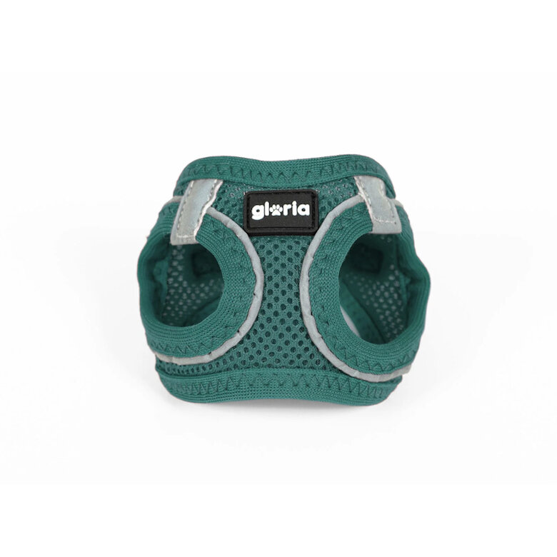 Gloria Air Mesh Trek Star Turquesa Peitoral/Vestido para cães,  Imagem número 2 Gloria Air Mesh Trek Star Turquesa Peitoral/Vestido para cães, , large Imagem número 2