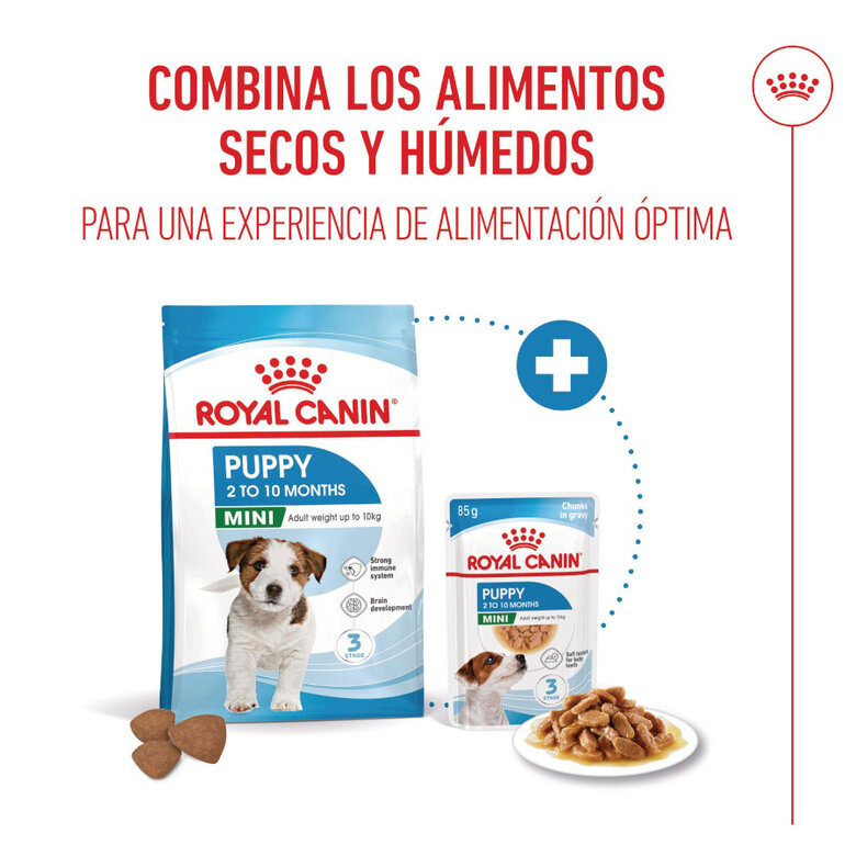 8 kg Royal Canin Mini Puppy ração para cães,  Imagem número 6 8 kg Royal Canin Mini Puppy ração para cães, , large Imagem número 6