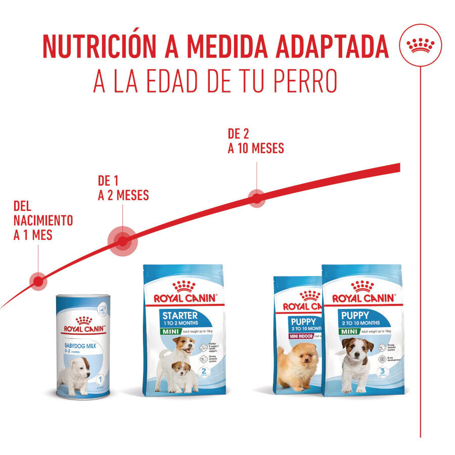 Royal Canin Mini Starter MothereBaby ra&ccedil;&atilde;o para c&atilde;es, , large Imagem n&uacute;mero 7