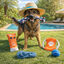 Summer Vibes The Beach Club Set x5 Brinquedos para c&atilde;es, , large Indicador imagem n&uacute;mero 3
