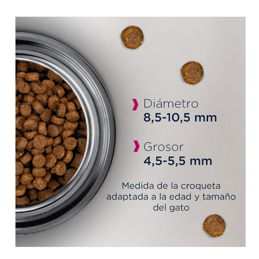 10 kg Eukanuba Senior Frango ra&ccedil;&atilde;o para gatos, , large Imagem n&uacute;mero 2