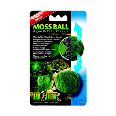Exo Terra Bola de Musgo para tartarugueiras