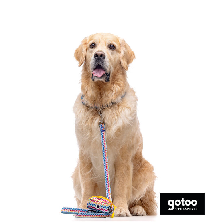 Gotoo Trela Estampada com Riscas Zig-Zag para Cães,  Imagem número 3 Gotoo Trela Estampada com Riscas Zig-Zag para Cães, , large Imagem número 3
