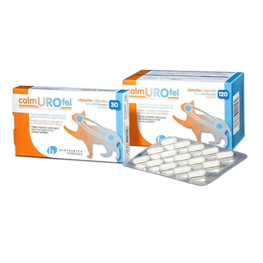 Bioiberica Calmurofel C&aacute;psulas Suplemento urin&aacute;rio para gatos, , large Imagem n&uacute;mero 1