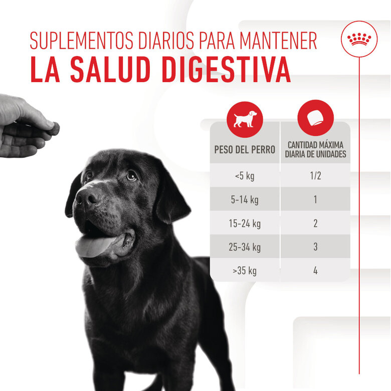 160 g Royal Canin Digestion Chews Suplemento Nutricional para cães com sensibilidade,  Imagem número 5 160 g Royal Canin Digestion Chews Suplemento Nutricional para cães com sensibilidade, , large Imagem número 5