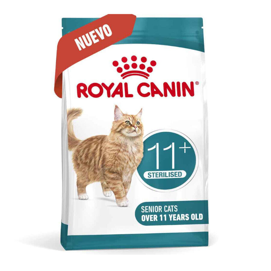 2 kg Royal Canin Ageing 11+ Sterilised ra&ccedil;&atilde;o para gatos, , large Imagem n&uacute;mero 2