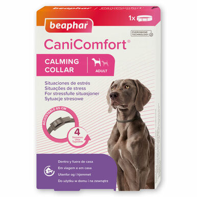 Beaphar CaniComfort Coleira Calmante 45cm para cães 