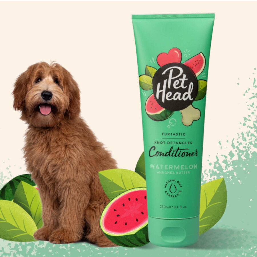 Pet Head Condicionador para c&atilde;es desembara&ccedil;ante 300ml, , large Imagem n&uacute;mero 2