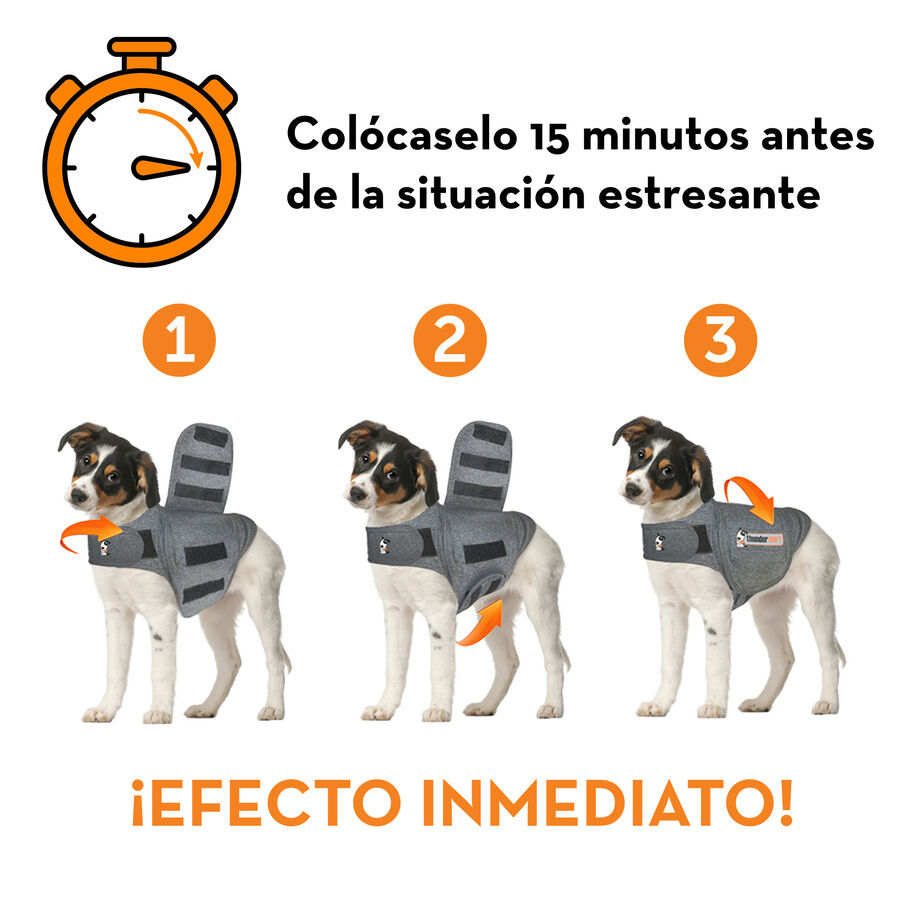 Thundershirt Colete Anti-Stress para c&atilde;es, , large Imagem n&uacute;mero 3